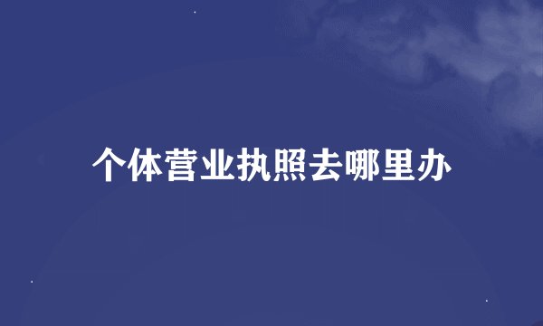 个体营业执照去哪里办