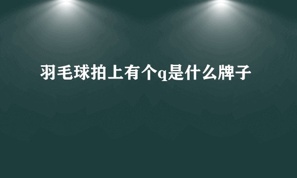 羽毛球拍上有个q是什么牌子