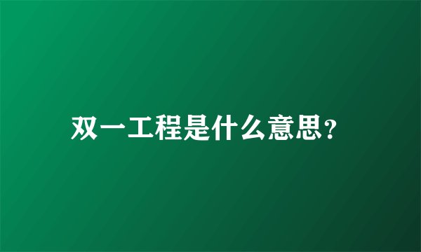 双一工程是什么意思?