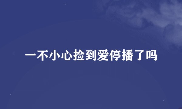 一不小心捡到爱停播了吗