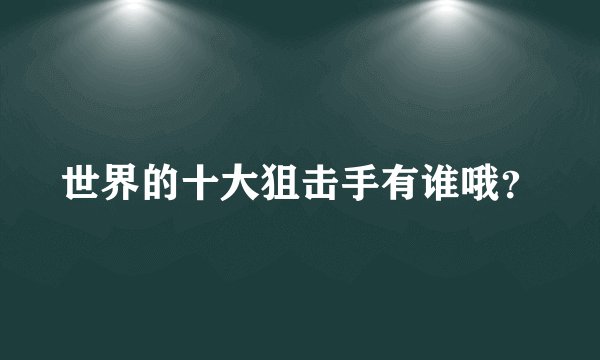 世界的十大狙击手有谁哦？