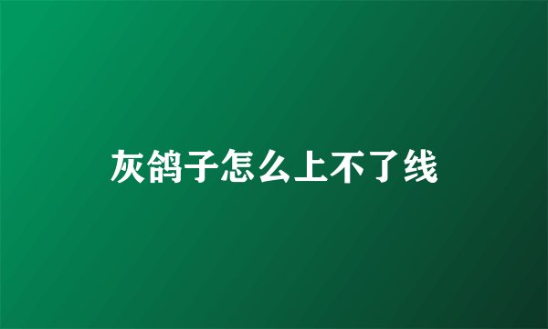 灰鸽子怎么上不了线