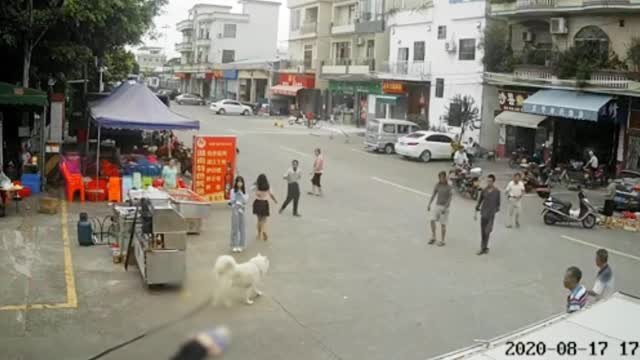 牵狗女孩表示因害怕逃跑,她这个年纪可以被理解吗?