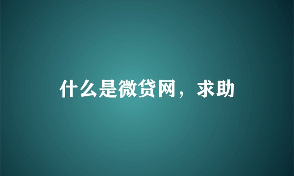 什么是微贷网，求助