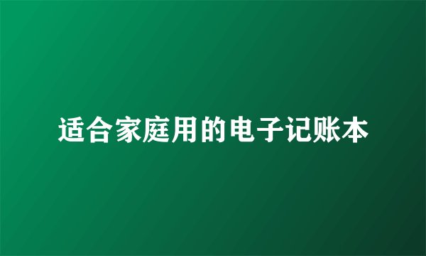 适合家庭用的电子记账本