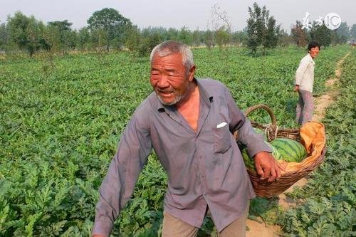 陕西一对父母种地供出全村唯一博士生，她是在怎样的环境中长大的？