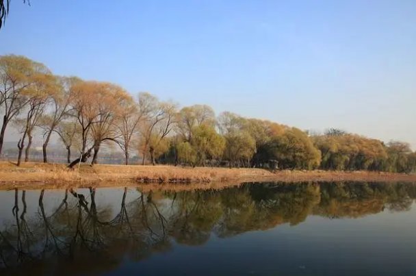 寒樱枝白是狂花是描写立秋时节的景象吗