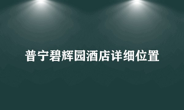 普宁碧辉园酒店详细位置