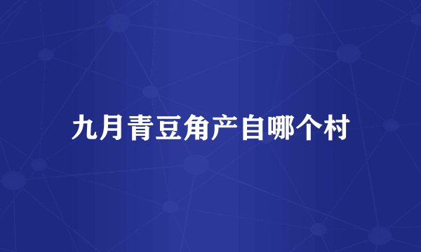 九月青豆角产自哪个村