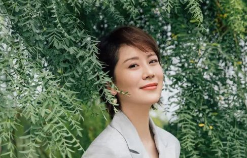 海清采访中回应“你是我的神”的热梗一事,这个梗有何出处?对她有影响吗?