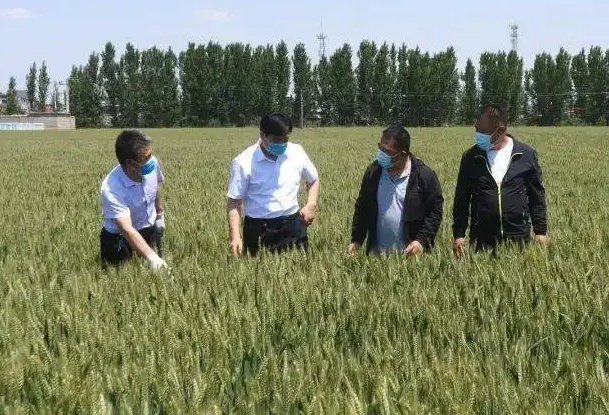 河北磁县回应农民反映承包土地浇地难,问题是否得到了解决?
