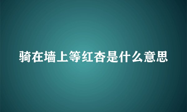 骑在墙上等红杏是什么意思
