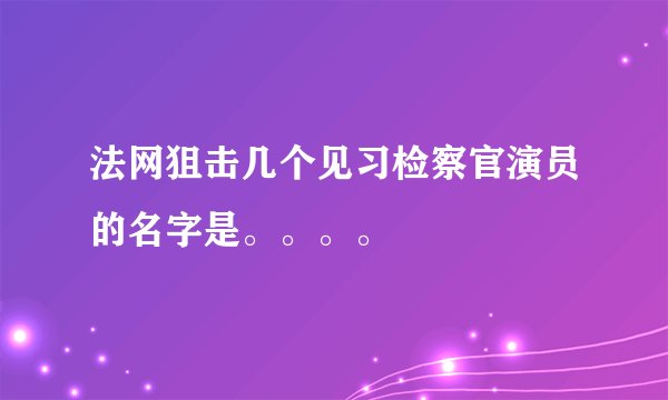 法网狙击几个见习检察官演员的名字是。。。。