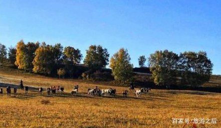 木兰围场不仅有乌兰布统草原,能看到妖艳的狼毒花吗?