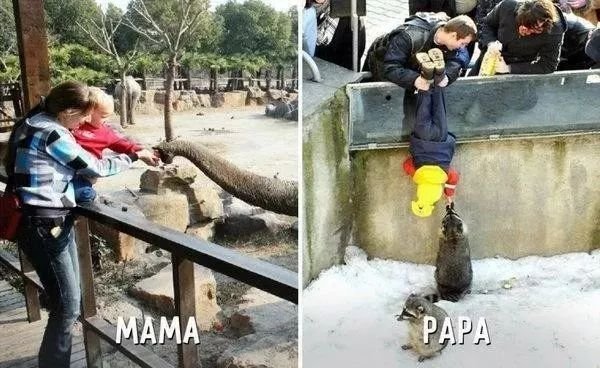 父亲锻炼孩子自己回家,孩子走丢!网友为何称父爱如同“山体滑坡”?
