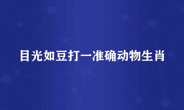 目光如豆打一准确动物生肖
