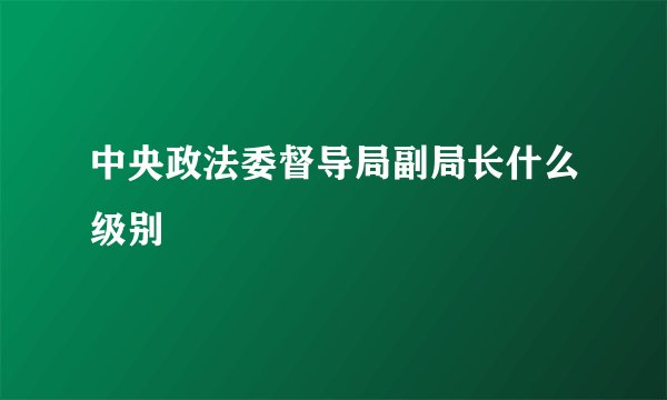 中央政法委督导局副局长什么级别