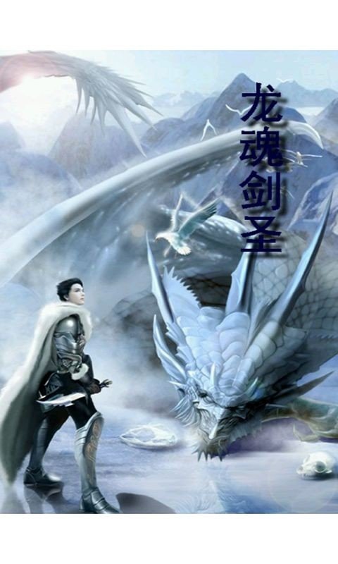 龙魂剑圣的小说目录