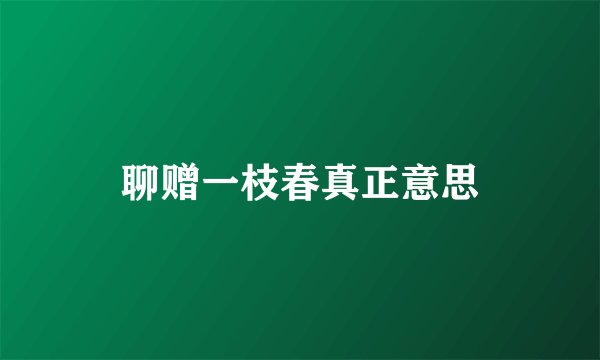 聊赠一枝春真正意思