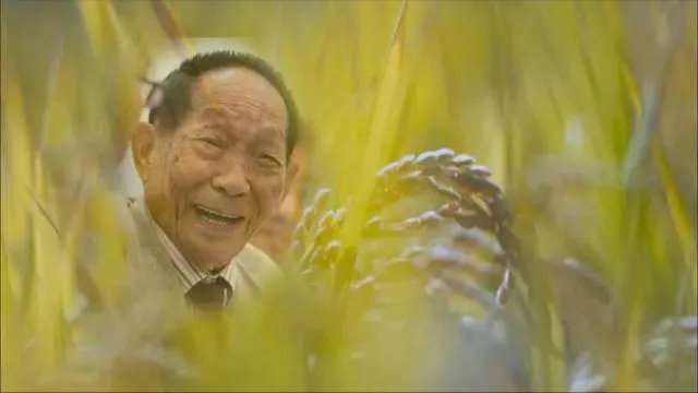 袁隆平曾拒5千美元月薪留在国内！袁隆平在国际上的名声和地位如何？