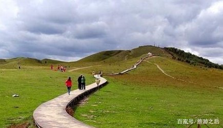 木兰围场不仅有乌兰布统草原,能看到妖艳的狼毒花吗?