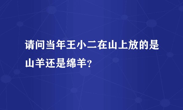 请问当年王小二在山上放的是山羊还是绵羊？
