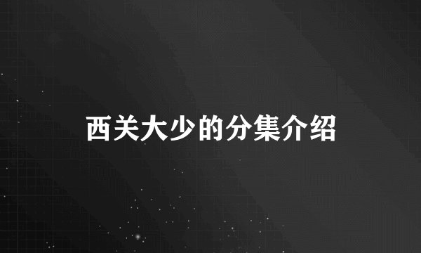 西关大少的分集介绍