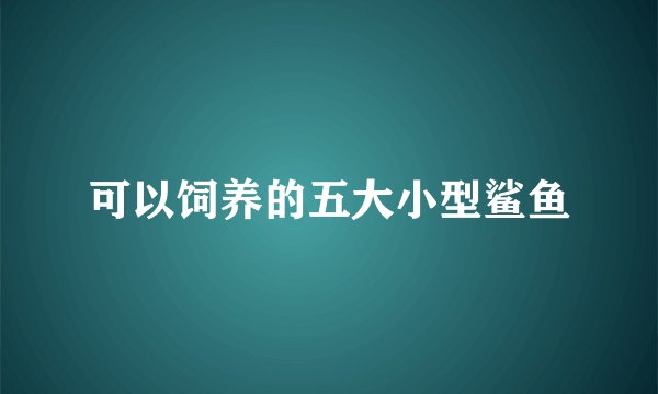 可以饲养的五大小型鲨鱼