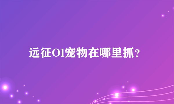 远征Ol宠物在哪里抓？