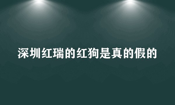 深圳红瑞的红狗是真的假的