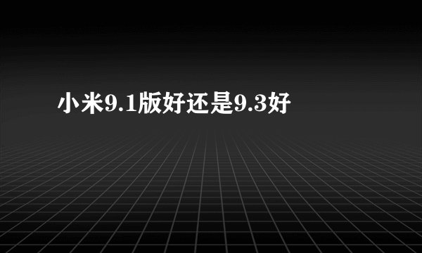 小米9.1版好还是9.3好