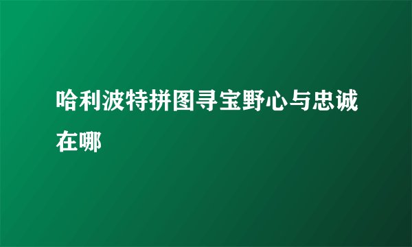 哈利波特拼图寻宝野心与忠诚在哪