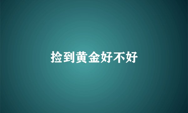 捡到黄金好不好