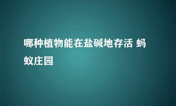 哪种植物能在盐碱地存活 蚂蚁庄园