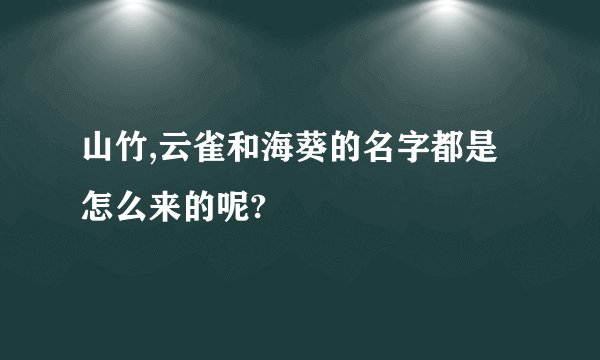 山竹,云雀和海葵的名字都是怎么来的呢?