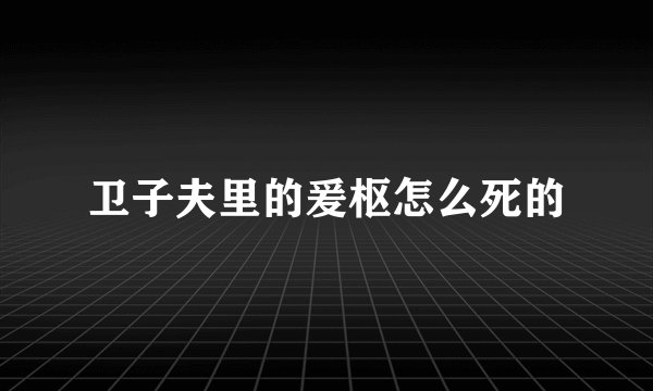 卫子夫里的爰枢怎么死的