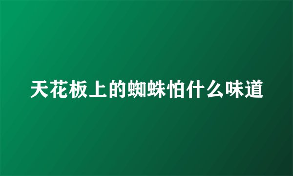 天花板上的蜘蛛怕什么味道