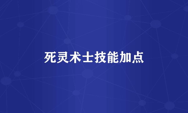 死灵术士技能加点