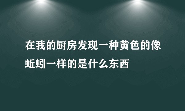 在我的厨房发现一种黄色的像蚯蚓一样的是什么东西