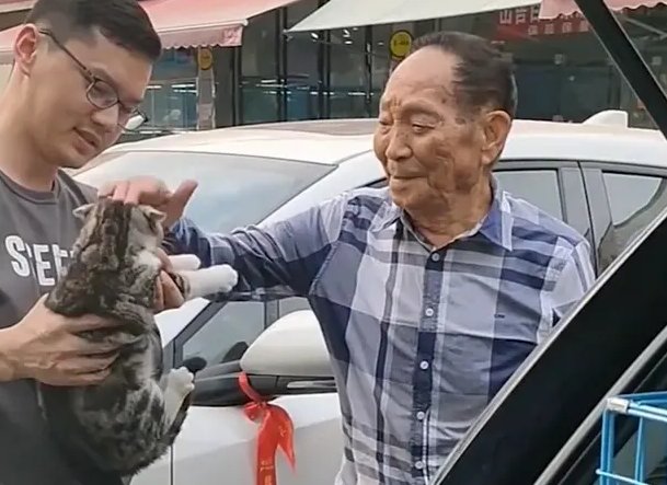 袁隆平爷爷的小猫“袁花花”找回来了，一只小猫为何牵动网友的心？
