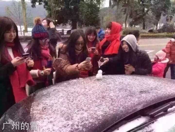 南方的猪第一次见雪兴奋不已,南方人第一次看雪都是啥样?