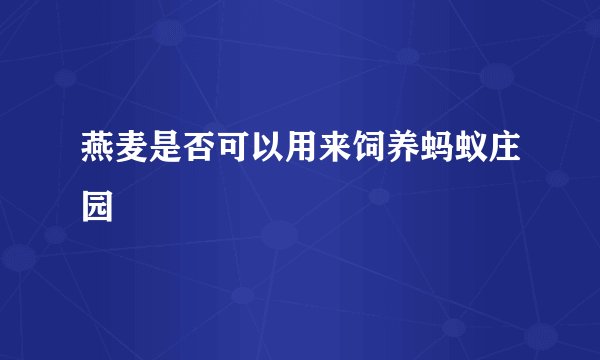 燕麦是否可以用来饲养蚂蚁庄园