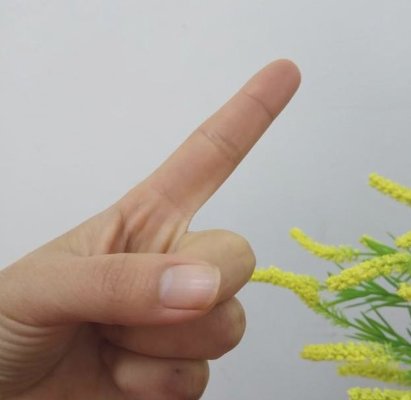 数字手势0到10的手势