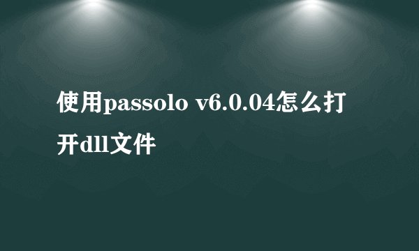 使用passolo v6.0.04怎么打开dll文件