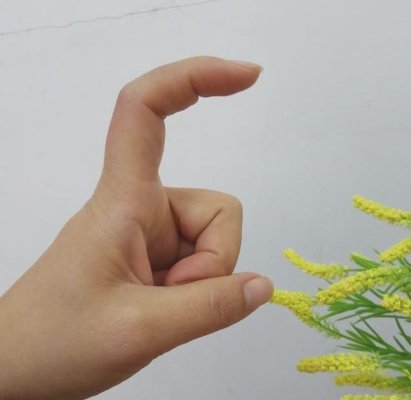 数字手势0到10的手势