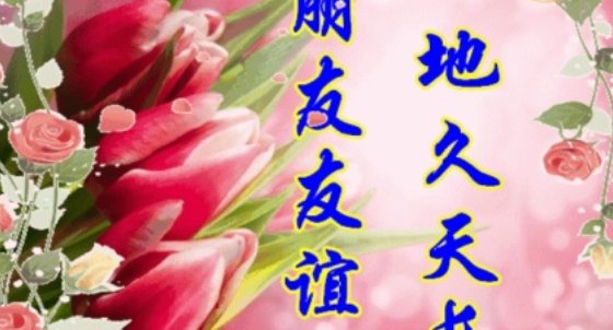 朋友的朋友5中国语