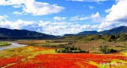 木兰围场不仅有乌兰布统草原,能看到妖艳的狼毒花吗?