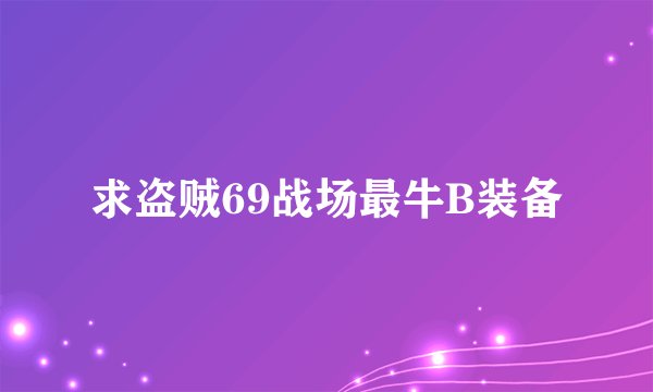求盗贼69战场最牛B装备