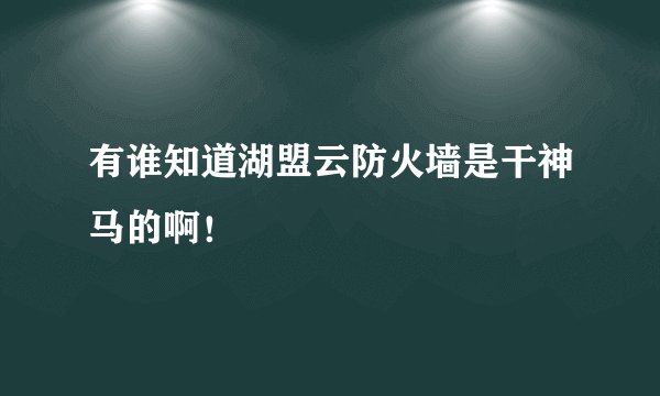 有谁知道湖盟云防火墙是干神马的啊！