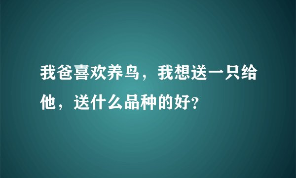 我爸喜欢养鸟，我想送一只给他，送什么品种的好？